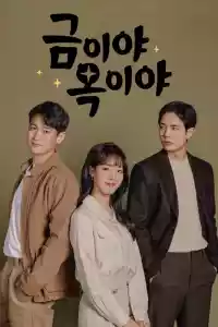 Jaquette du film 금이야 옥이야