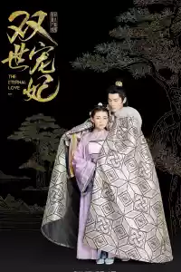 Jaquette du film 双世宠妃