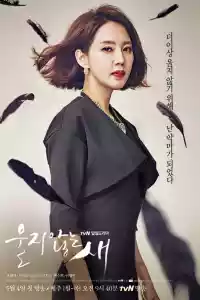 Jaquette du film 울지않는 새