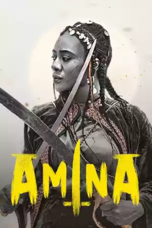 Jaquette du film Amina