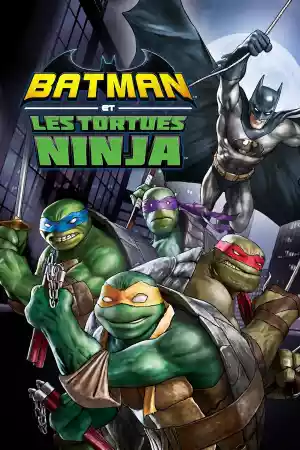 Jaquette du film Batman et les Tortues Ninja