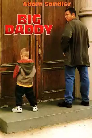 Jaquette du film Big Daddy