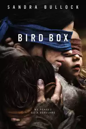 Jaquette du film Bird Box