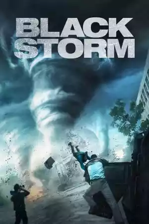 Jaquette du film Black Storm