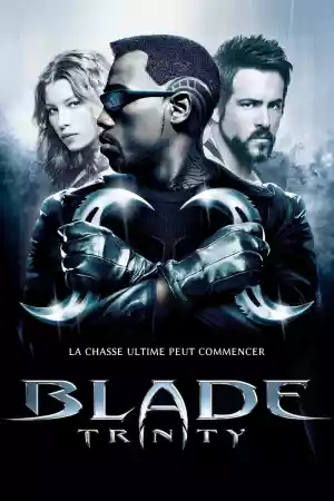 Jaquette du film Blade: Trinity