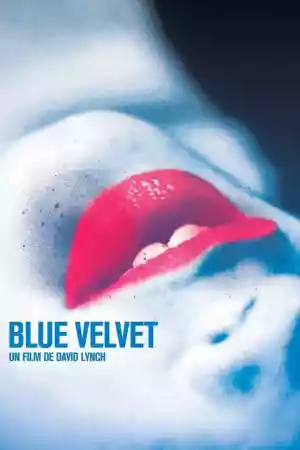 Jaquette du film Blue Velvet