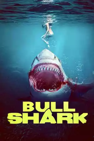 Jaquette du film Bull Shark