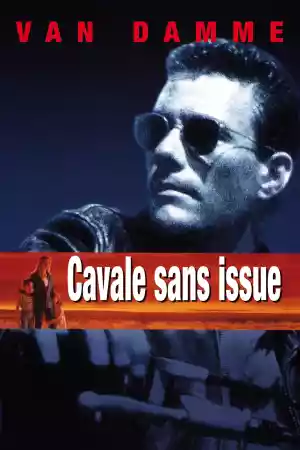 Jaquette du film Cavale sans issue