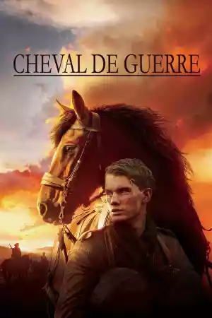 Jaquette du film Cheval de guerre