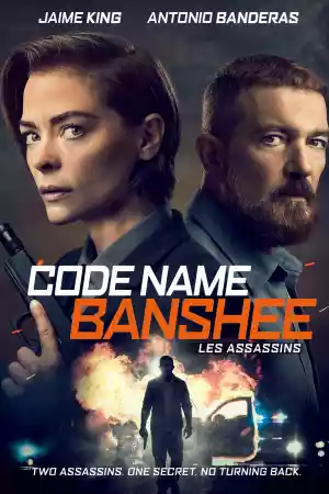 Jaquette du film Code Name Banshee