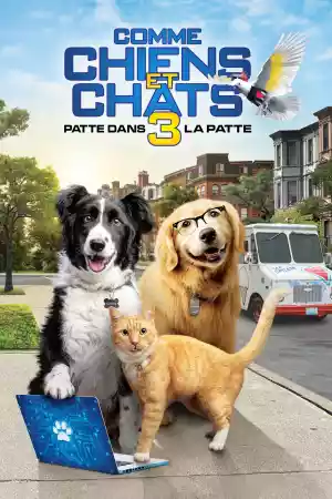 Jaquette du film Comme Chiens et Chats 3 : Patte dans la Patte