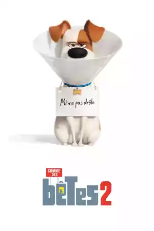 Jaquette du film Comme des bêtes 2