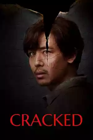 Jaquette du film Cracked