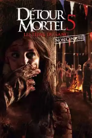 Jaquette du film Détour mortel 5