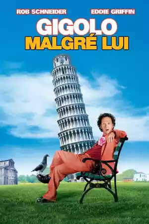 Jaquette du film Deuce Bigalow : Gigolo malgré lui