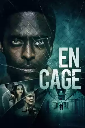 Jaquette du film En cage