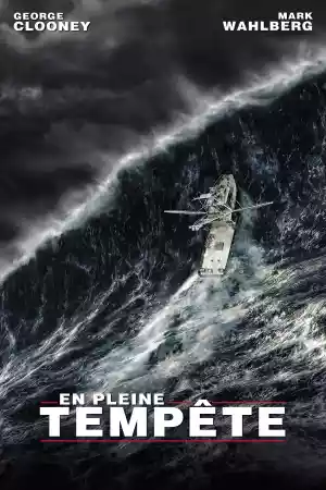 Jaquette du film En pleine tempête