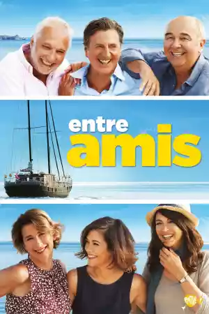 Jaquette du film Entre amis