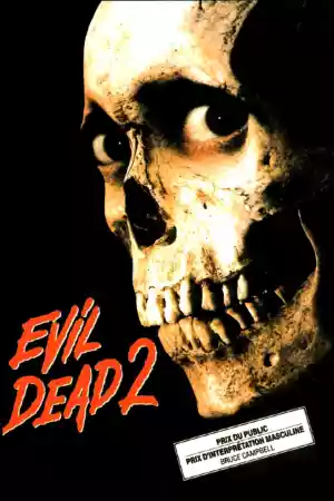 Jaquette du film Evil Dead 2