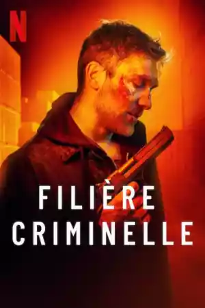 Jaquette du film Filière criminelle