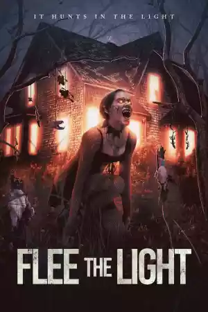 Jaquette du film Flee the Light