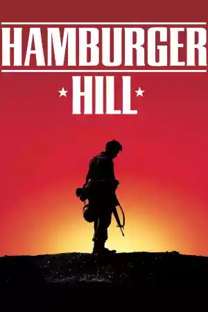 Jaquette du film Hamburger Hill