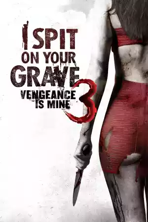 Jaquette du film I Spit on Your Grave III: Vengeance is Mine