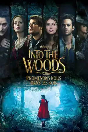 Jaquette du film Into the Woods : Promenons-nous dans les bois