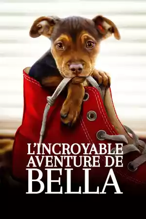 Jaquette du film L'Incroyable Aventure de Bella