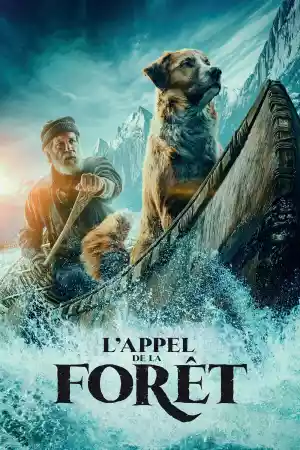 Jaquette du film L'appel de la forêt