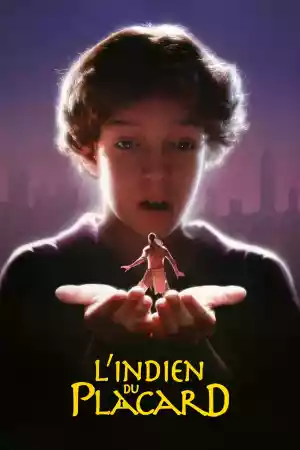 Jaquette du film L'indien du placard