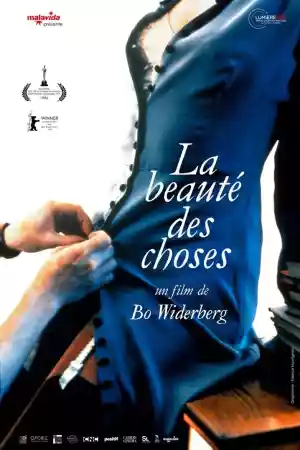 Jaquette du film La Beauté des choses