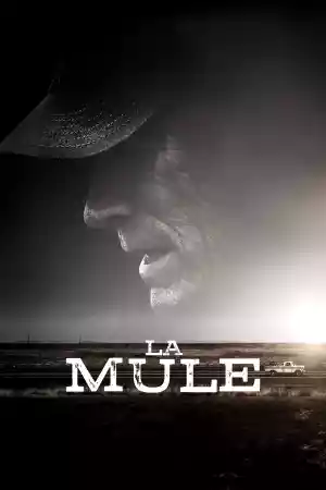 Jaquette du film La Mule