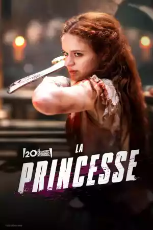 Jaquette du film La Princesse