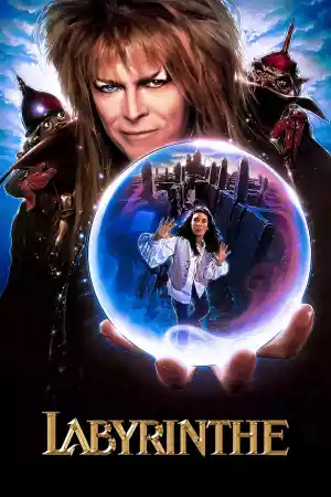 Jaquette du film Labyrinthe