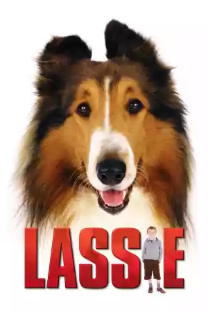 Jaquette du film Lassie