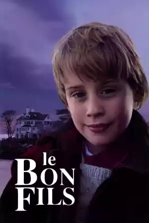 Jaquette du film Le Bon Fils