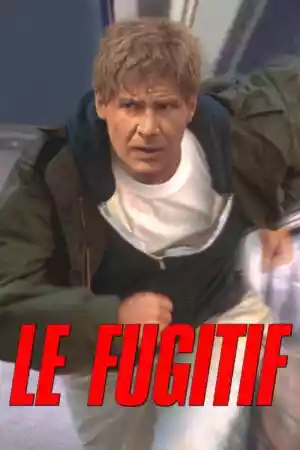 Jaquette du film Le Fugitif