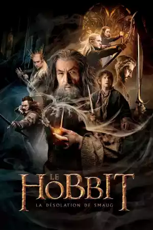 Jaquette du film Le Hobbit : La Désolation de Smaug