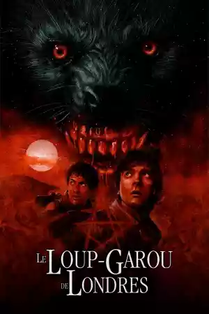 Jaquette du film Le Loup-Garou de Londres