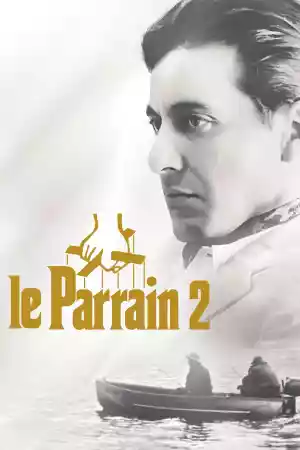 Jaquette du film Le Parrain, 2e partie