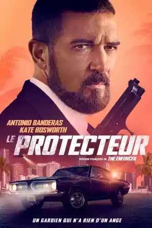 Jaquette du film Le Protecteur