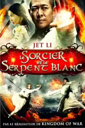 Jaquette du film Le Sorcier et le Serpent blanc