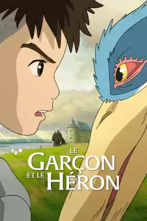 Jaquette du film Le garçon et le héron