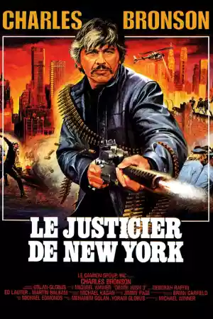 Jaquette du film Le justicier de New York