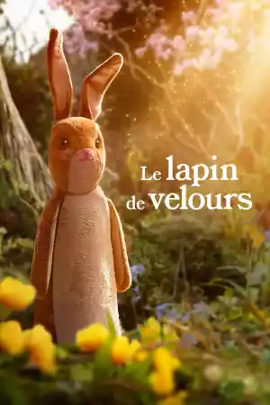 Jaquette du film Le lapin de velours