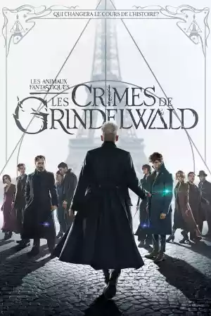 Jaquette du film Les Animaux Fantastiques : Les Crimes de Grindelwald