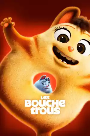 Jaquette du film Les Bouchetrous