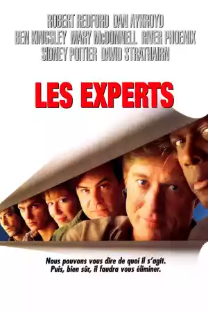 Jaquette du film Les Experts