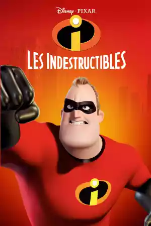 Jaquette du film Les Indestructibles